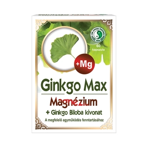 Dr. Chen Ginkgo Max Kapszula Magnéziummal, 60 db