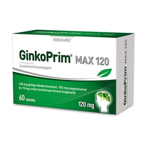 Ginkoprim Max 120Mg Tabletta 60db