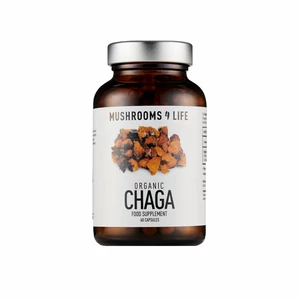 Mushrooms4life Organikus Chaga gomba kapszula 500mg 60db