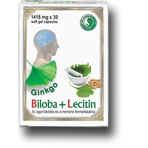 Dr. Chen Ginkgo Biloba + Lecitin kapszula 30 db