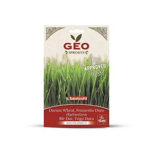 Bavicchi Bio Durumbúza csíráztatáshoz, 80gr