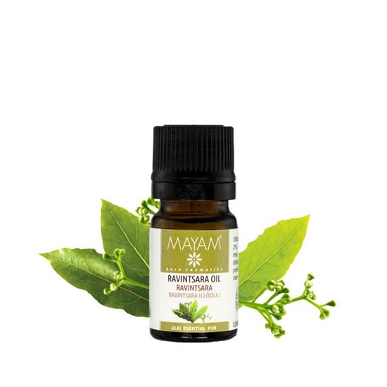 Mayam Ravintsara illóolaj tiszta cinnamomum camphora 5 ml