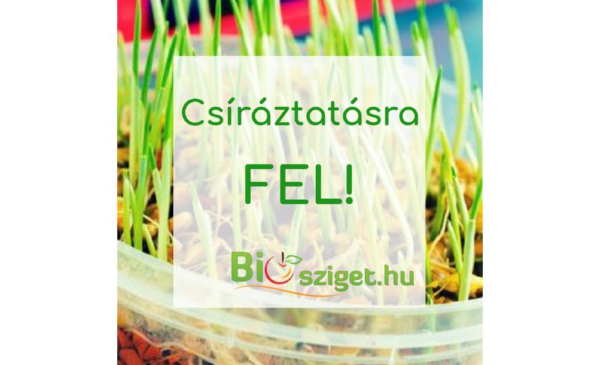 Csíráztatás otthon